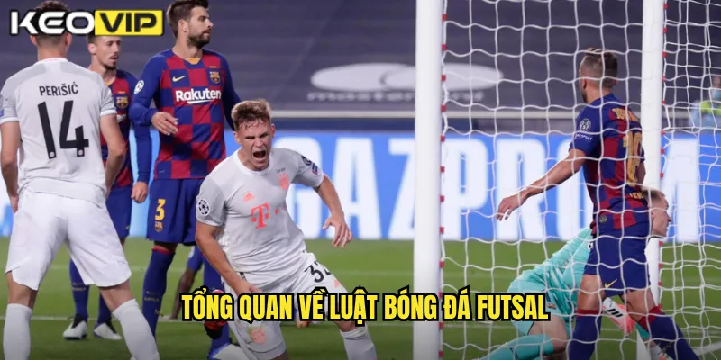 Tổng quan về luật bóng đá futsal