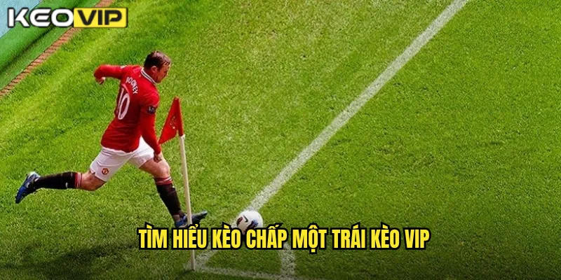 Chấp Một Trái Kèo Vip - Kèo Chấp 1 Trái An Toàn Cho Người Chơi 1 Tìm hiểu kèo chấp một trái Kèo vip