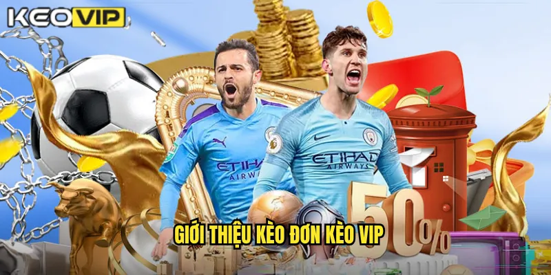 Giới thiệu kèo đơn Kèo vip