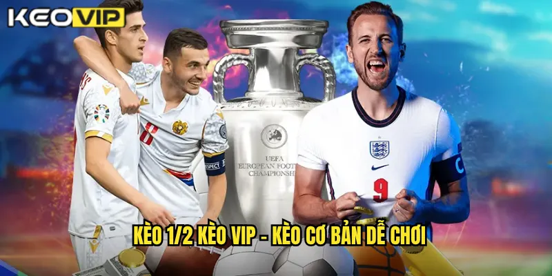 Kèo 1/2 Kèo Vip - Giải Mã Kèo Nửa Trái Đơn Giản Hiệu Quả 1 Kèo 1/2 Kèo Vip - Kèo Cơ Bản Dễ Chơi